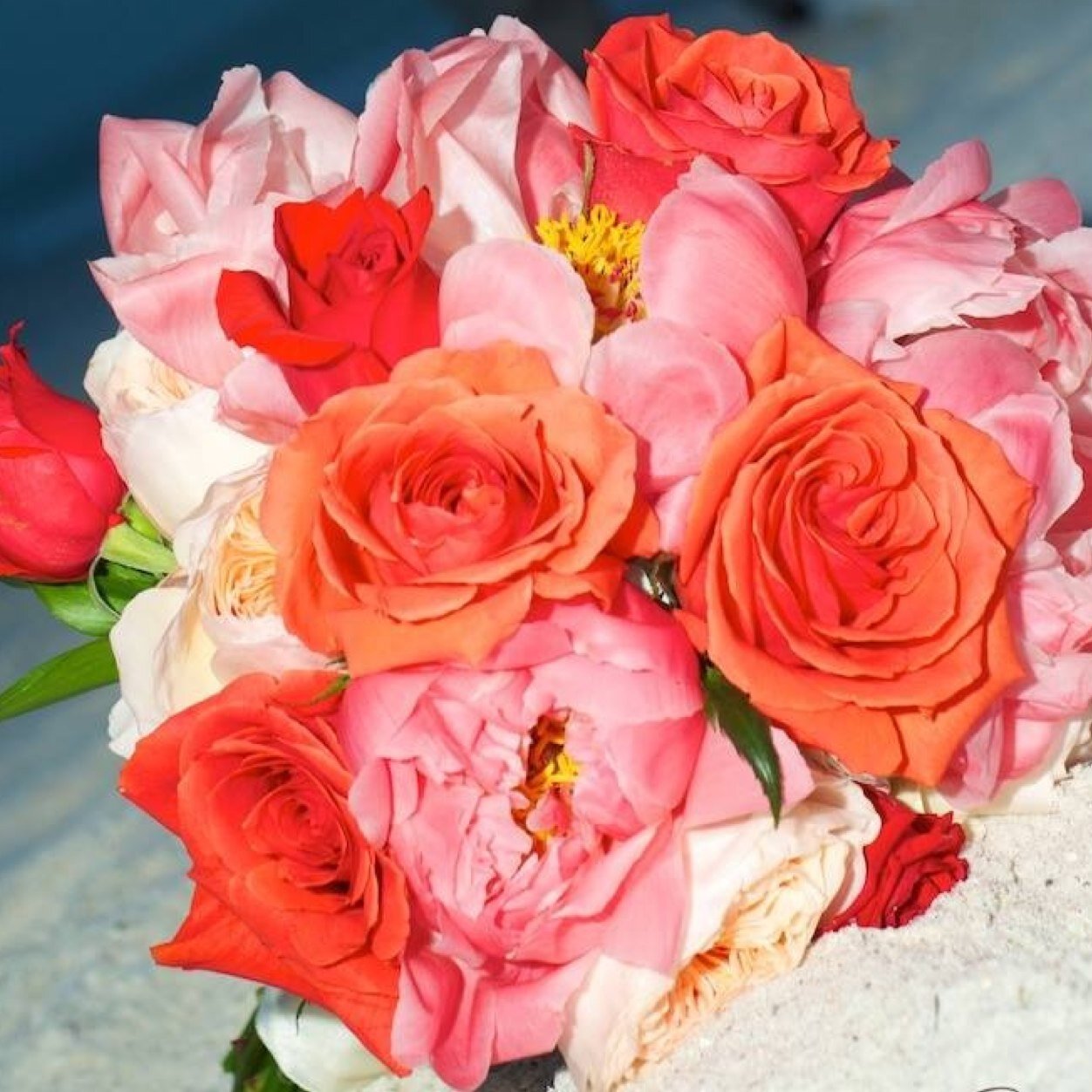 Flower Market Florist is a full-service flower shop.  We have worked with thousands of brides for Clearwater Beach weddings.