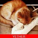 Sevim Can - @sevoomcoon - Twitter