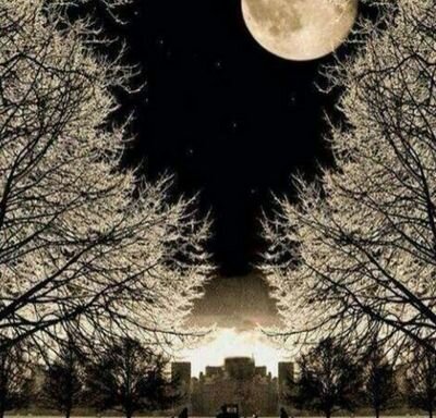 خير الأصحاب إذا رأى منك خيرًا نشره، وإذا عرف عنك عيبًا ستره، وإذا ضحكت لك الدنيا لم  يحسدك، وإذا عبست لك الدنيا لم يتركك