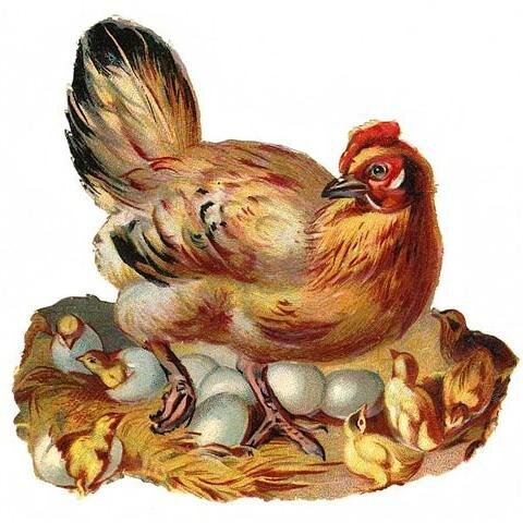 Advocating freedom to choose what to eat & feed our families. Food Freedom tweets by lawyer &  book blogger @GilionDumas.
