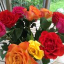 marta - @MartaBennett1 - Twitter