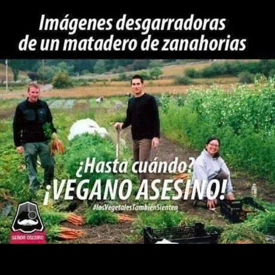 #AntiVeganos Amamos la Carne.  Seguime y te sigo, dejame de seguir y te dejo de seguir, simple