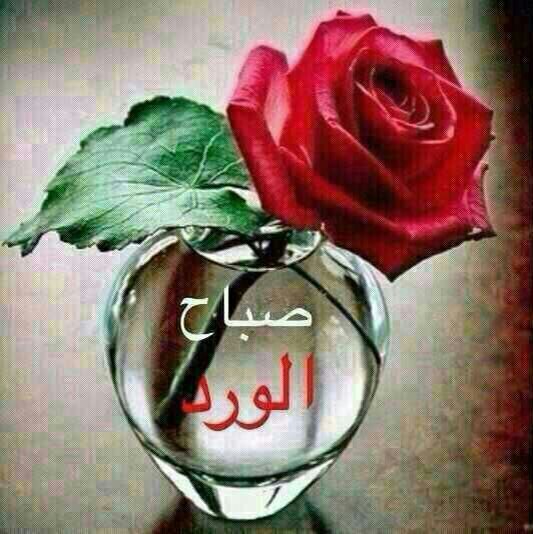love you. .......