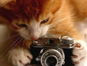 anasustanoz's profile picture. 