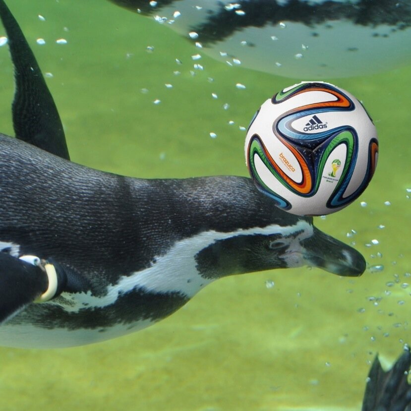 KsuK1019's profile picture. Camera / Sports
Obihiro→Sapporo→Kasai→Kisarazu→Fukushima→Sakura→Gifu→Akabane & Konosu→Sendai