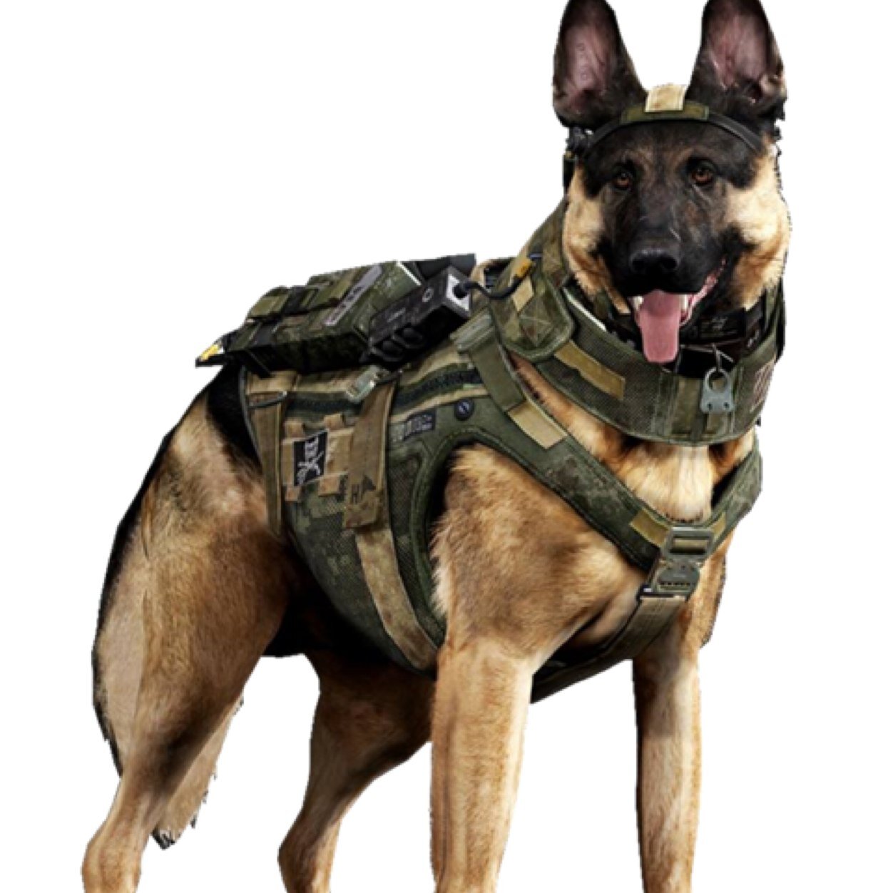 RileyRileycod's profile picture. Find me on COD Ghosts...