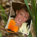 Jojo - @JoanneTate13 - Twitter