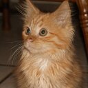 Beverly Walters - @peninkbev - Twitter