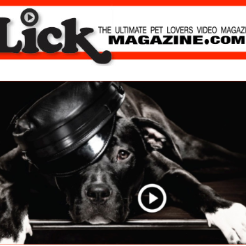 Lickmagazine.com