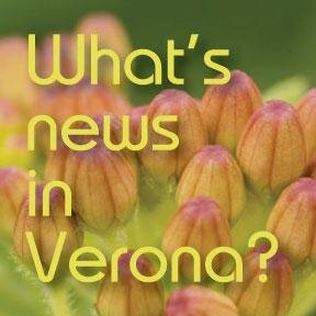 Connecting people, places, and events in Verona, Wisconsin.