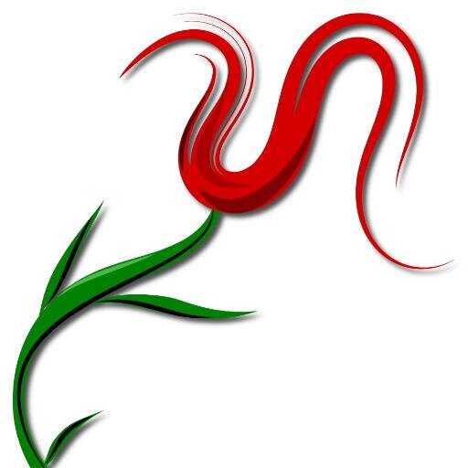 ISTTRIP's profile picture. Услуги гида, переводчика, трансфера в Стамбуле