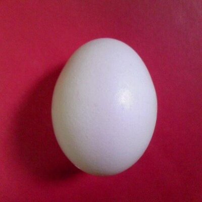 ちーこ
