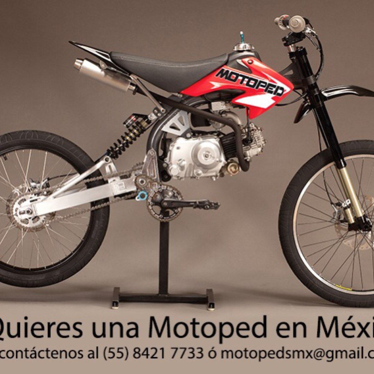 motopedsmx's profile picture. 