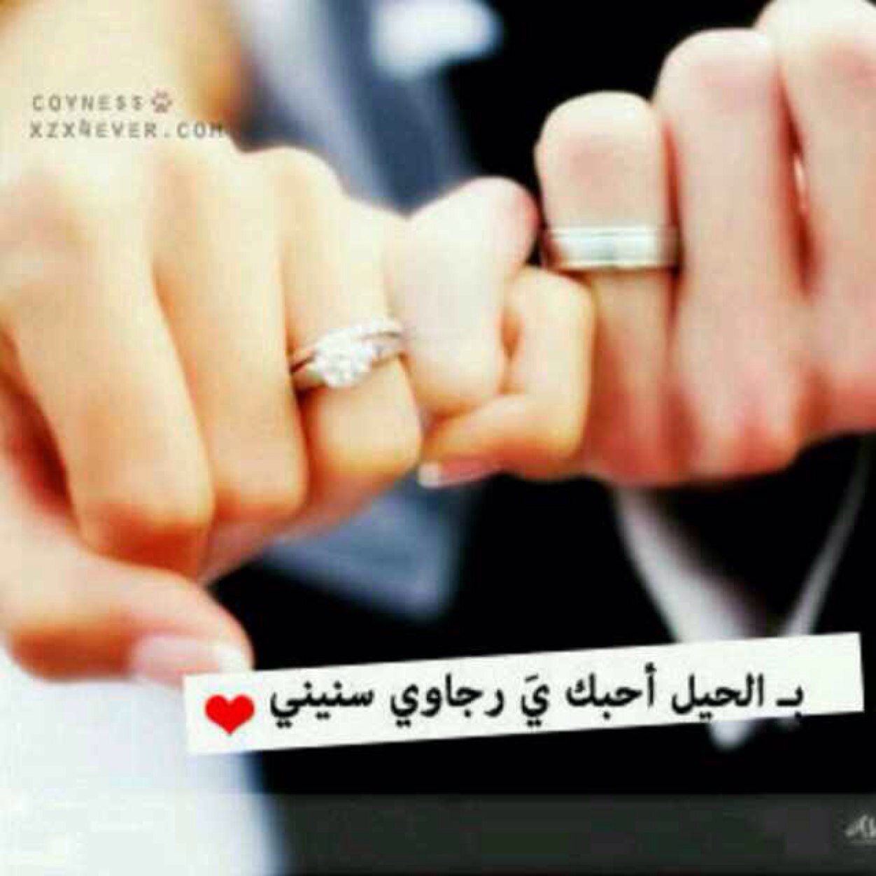 nawalryan's profile picture. 