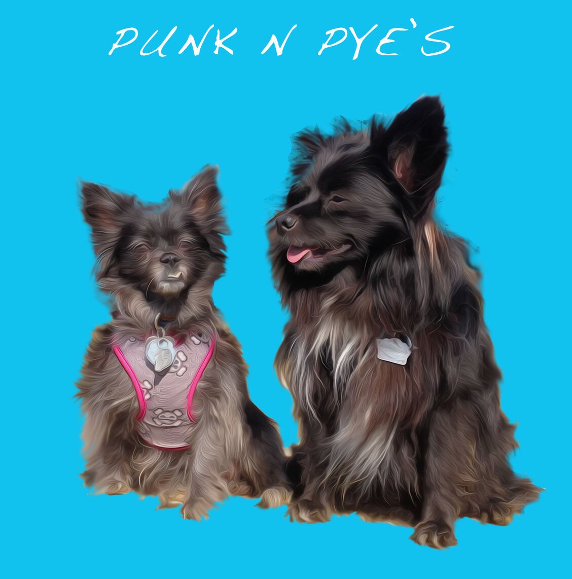 PUNK N PYE’S Best Friends Treats are delicious, nutritious, homemade snacks for dogs!