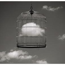 mente_sutil's profile picture. 