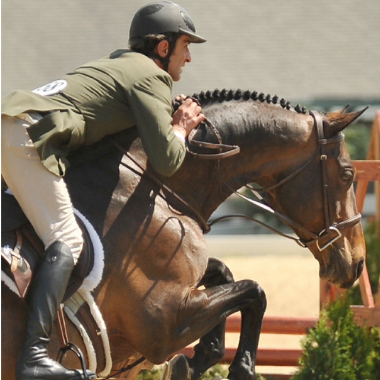 torresjimsergio's profile picture. Rider/Trainer at Foster Jimenez Show Stables. 27 years of experience in training, showing, and selling horses internationally and nationally.