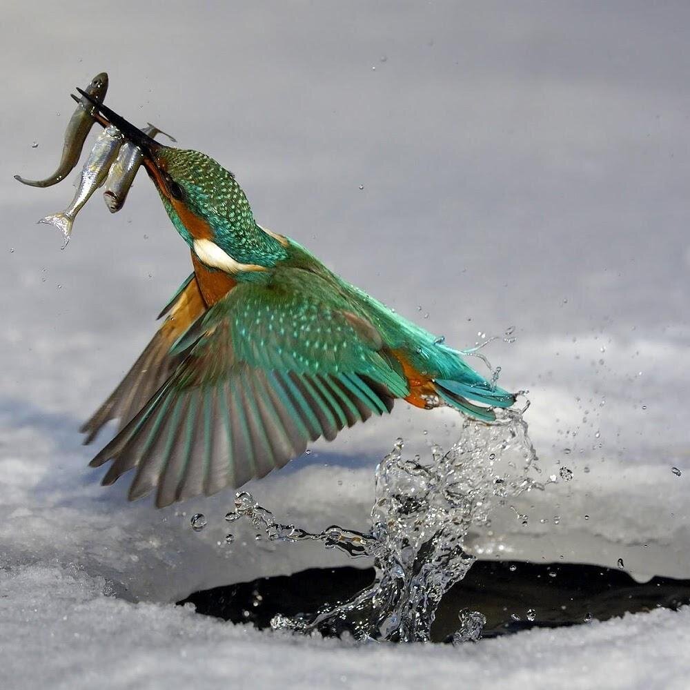 ya_sree's profile picture. 