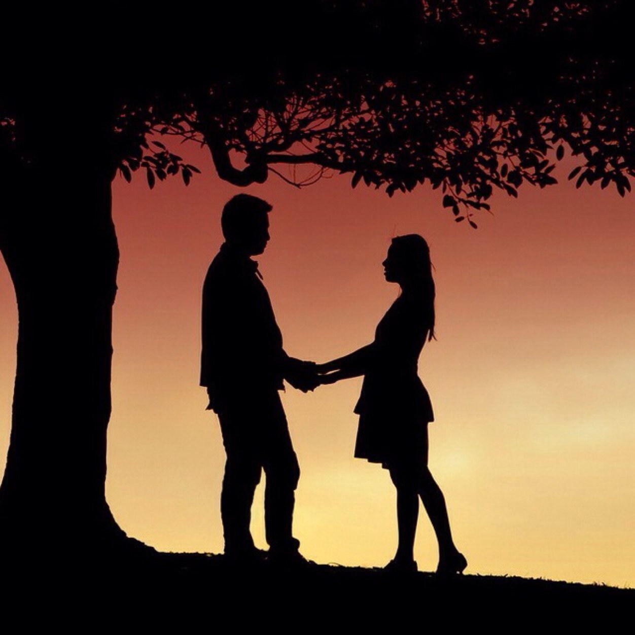 mughal_alina's profile picture. 