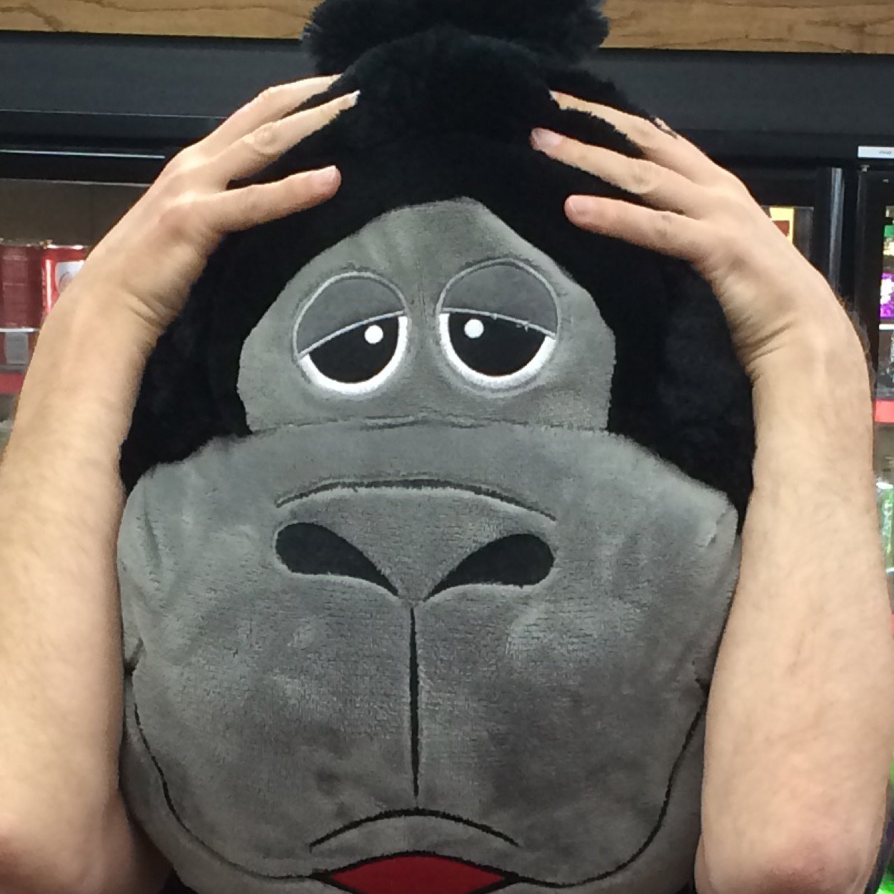 mrharveymarcus's profile picture. Filmmaker at https://t.co/8rs2meedSq