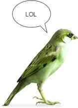 Funniest Gifs on twitter
