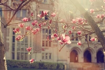 KalukaluAZ's profile picture. ‏1989 / خدمة إجتماعيه :)