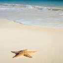 Personal Tavel Consultant and Destination Specialist offering professional and exceptional service for all your travel experiences