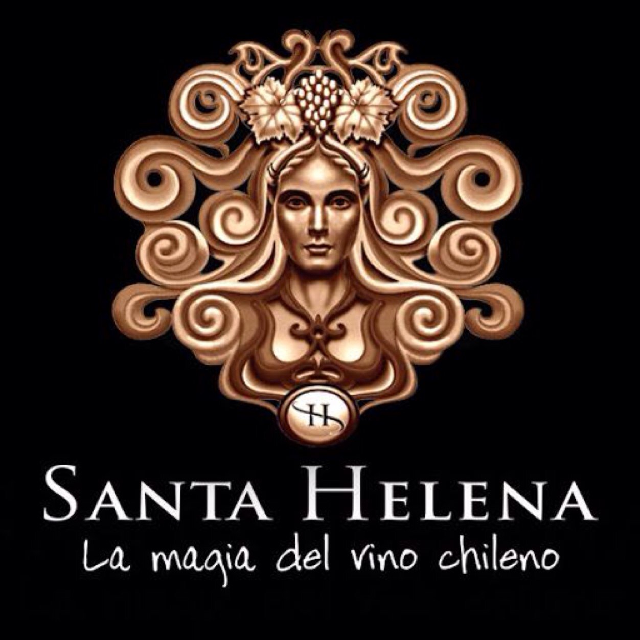 VSantaHelena's profile picture. 