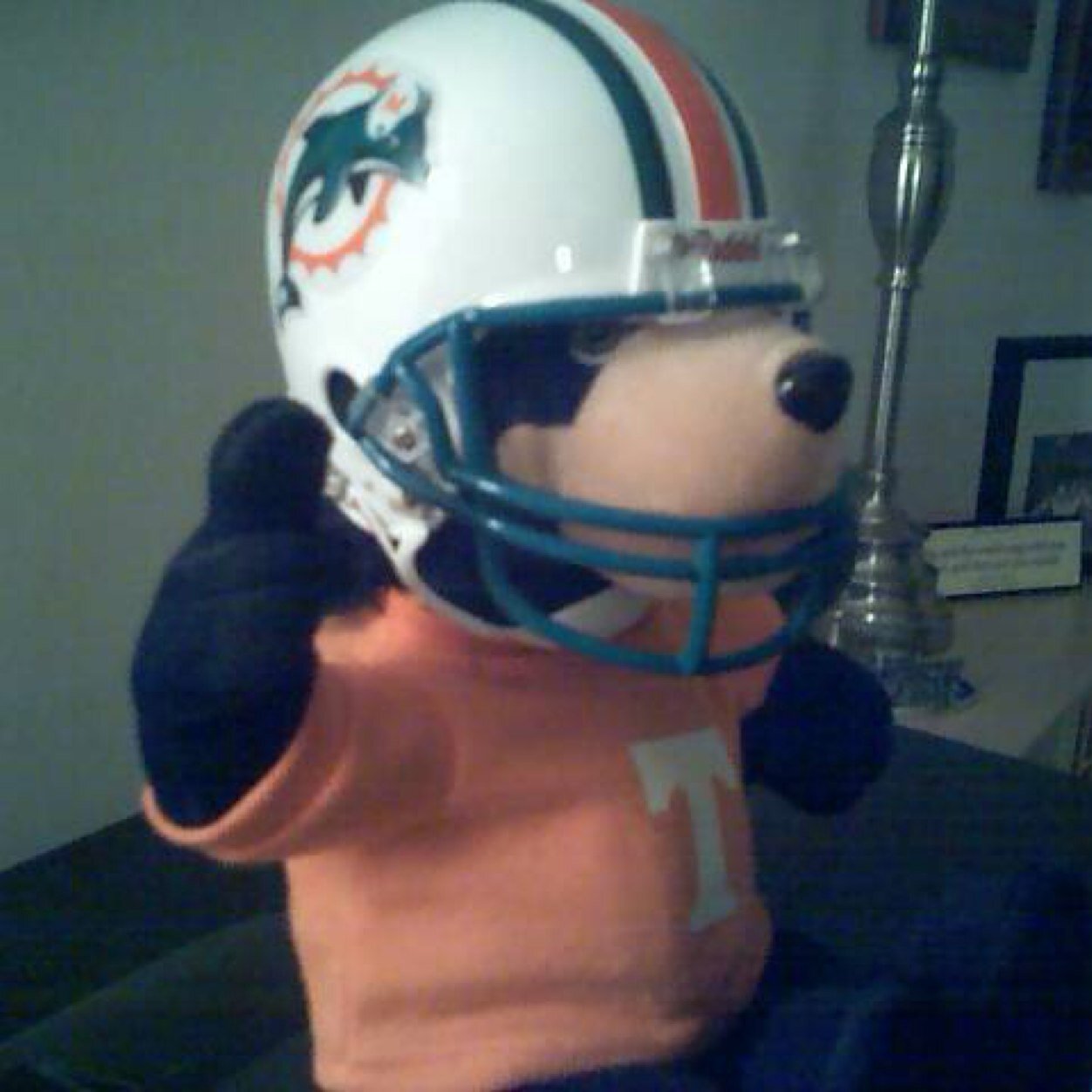 utkika's profile picture. One of the few SEC fans & alumna mired in MD. Go Vols!