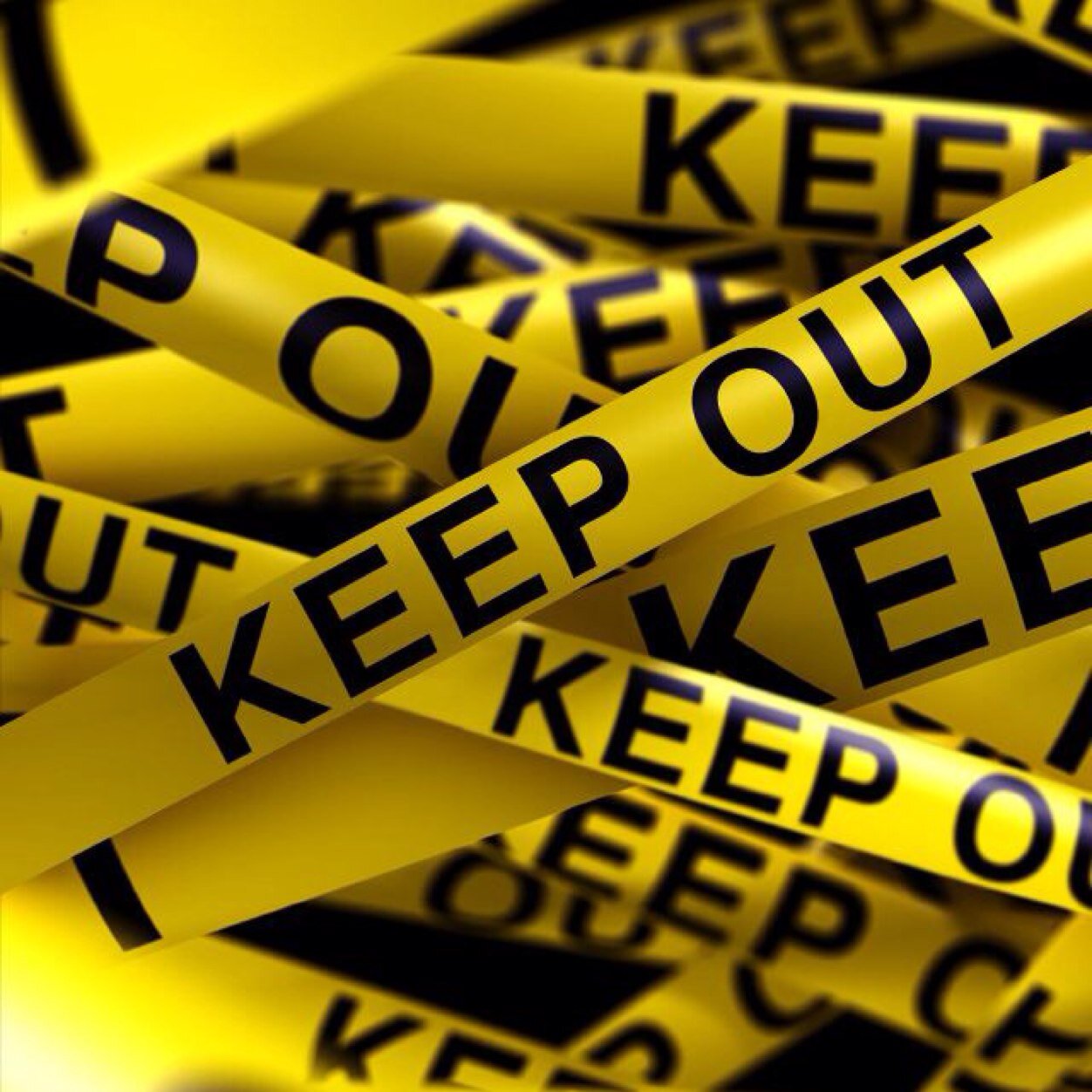 travellerbella's profile picture. 