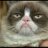 MorenoLecheria's profile image