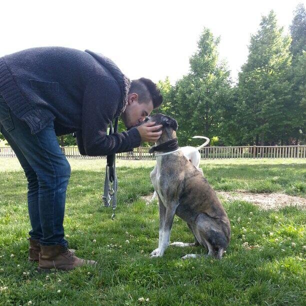 DaniRCoro's profile picture. 