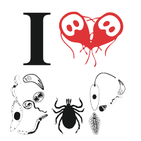 BiologyofParasitism (@mblbop) 's Twitter Profile