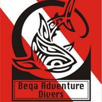 BeqaAdventureDivers (@fijisharks) 's Twitter Profile