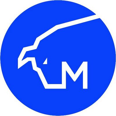 MesitisCapital's profile image