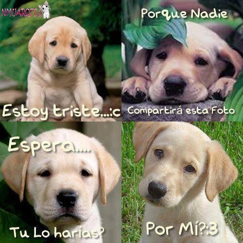 FrayanaS's profile picture. 