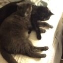 Katie Cote - @K3Cote - Twitter