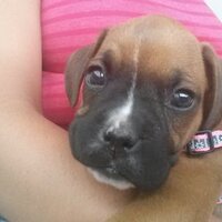 Jennifer Shores (@jennshores128) Twitter profile photo