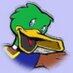 Mallard Creek ES (@mallardcreekes) Twitter profile photo