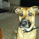 Sophia Grace Perdue - @sophdontgiveno - Twitter