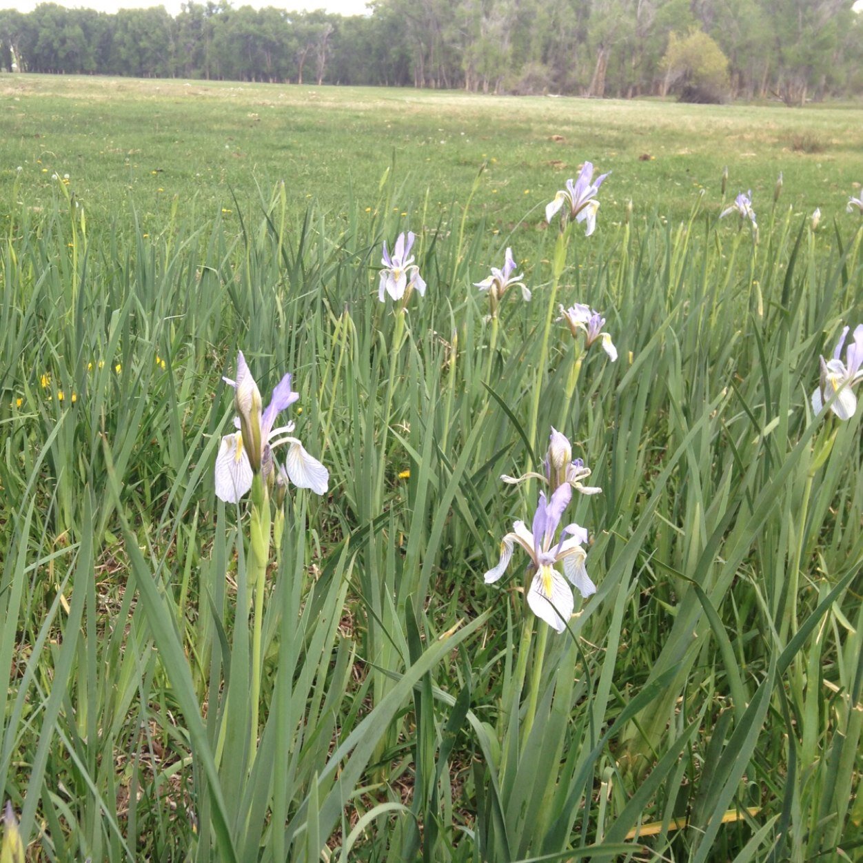 PowellElk2th's profile picture. 