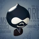 Drupalien: webmestre, Concepteur Web, chef de projet, apiculteur