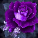 angie farmer - @angiefarmer72 - Twitter