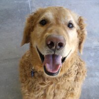 Dr Blanca López (@lpezdr) 's Twitter Profile