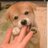 mlwxf's profile image