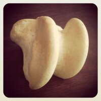 Martin Cake (@ginglymus) 's Twitter Profile
