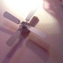 Loyal brown - @Bishwhet62662 - Twitter