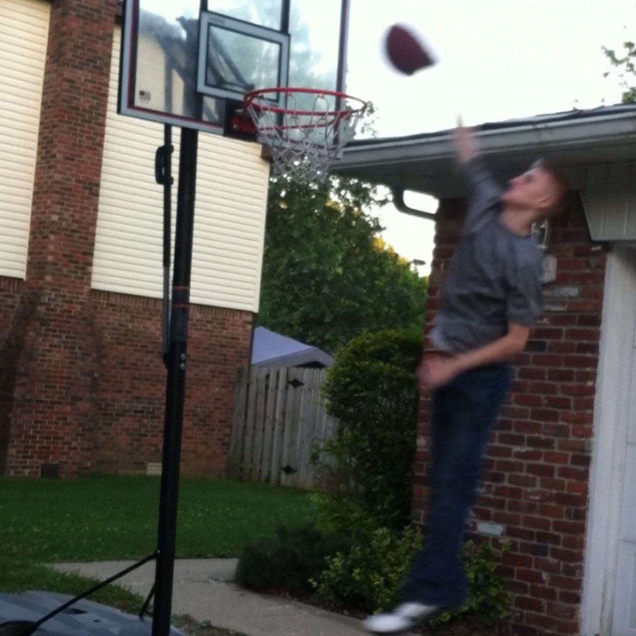 Tennis_TypeFlow's profile picture. Ben Davis Tennis. Indiana Pacers!