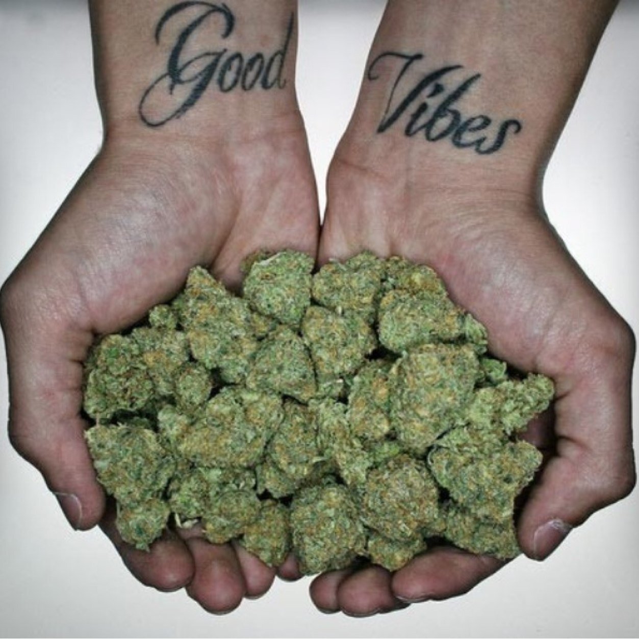 We do drugs. We thrive. #DrugFamily