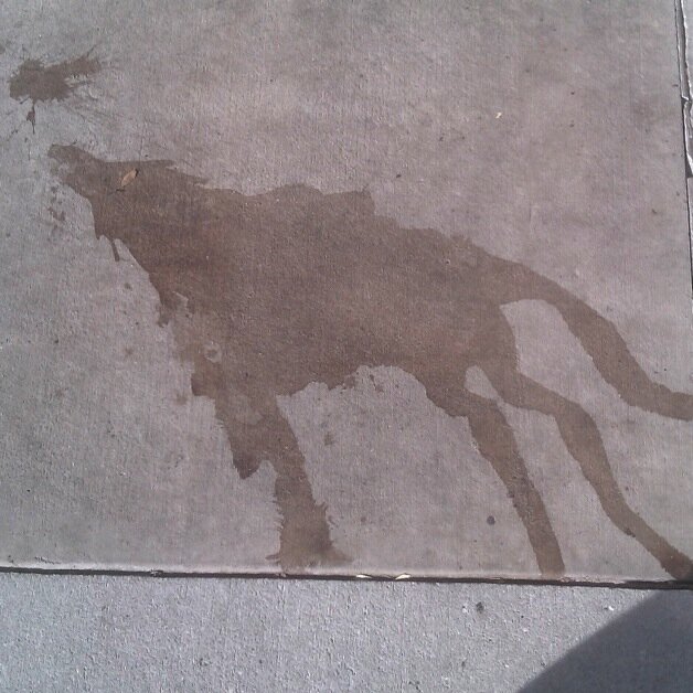 DockEllis's profile picture. dreamweaver, idolator, tall tale teller.